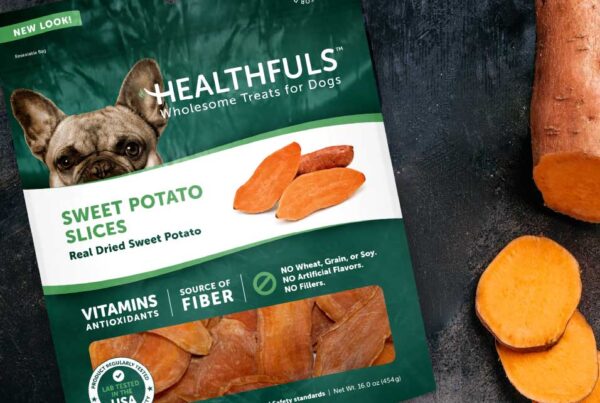 Healthfuls™ Dog Treat Package Design